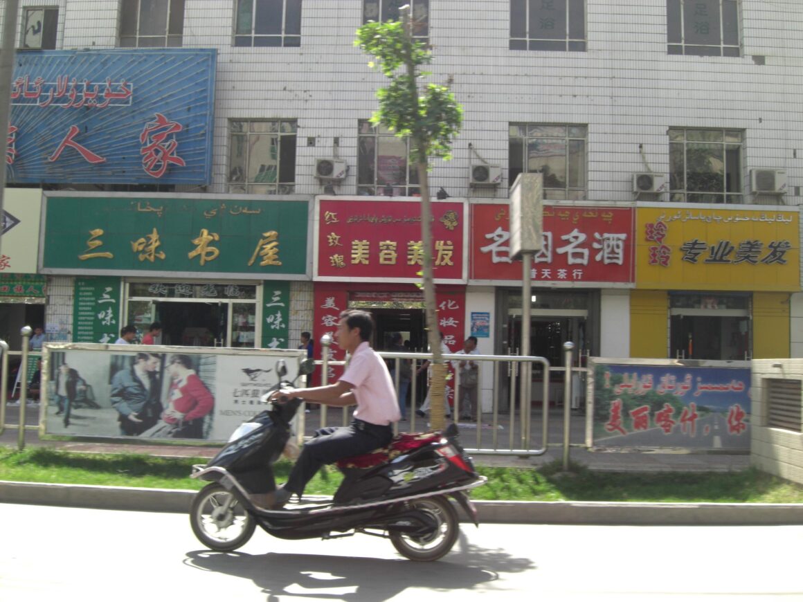 The Hanification of Xinjiang, China: The Economic Effects of the Great Leap West