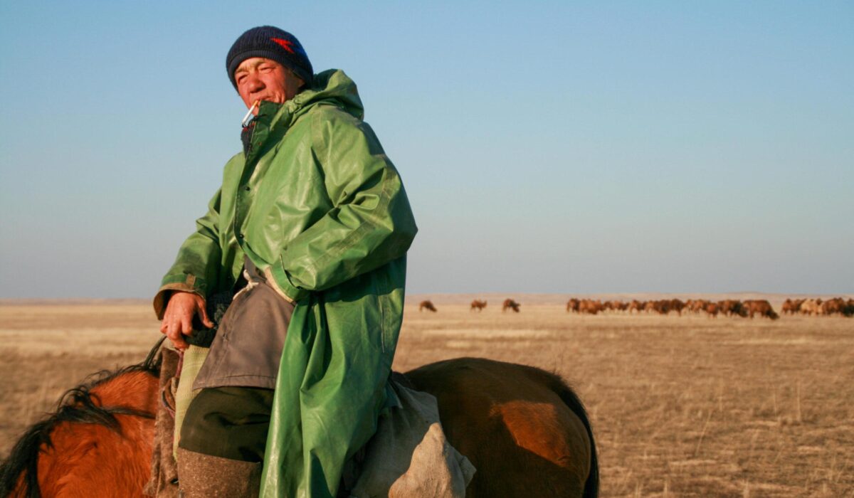 Cara Kerven, Hired camel shepherd in Moinkum, Jambyl Province, Kazakhstan.