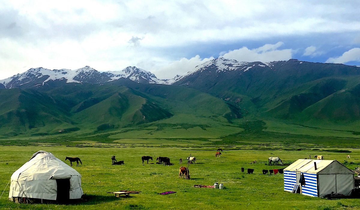 Matthew Brown, Kyrgyzstan, 2016
This photo was taken in June of 2016 in the Suusamyr Valley of
Kyrgyzstan through a bus window. I was in Bishkek for a summer
language program and knew next to nothing about Central Eurasia.
This is one of many such scenes I viewed from our school bus as
it took us around the country, and I wanted nothing more than to
transcend that glass and learn more.